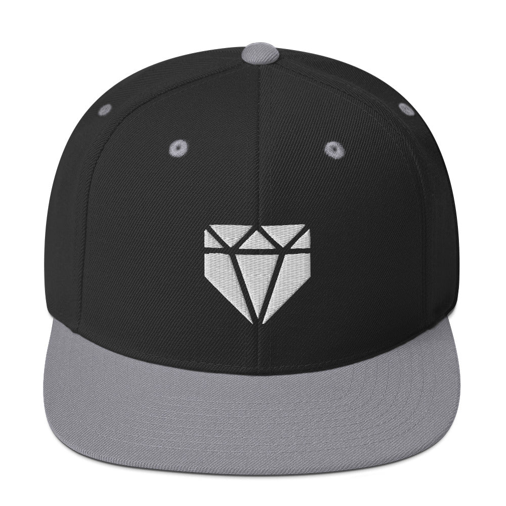 Web Gem Snapback Hat Black/ Silver
